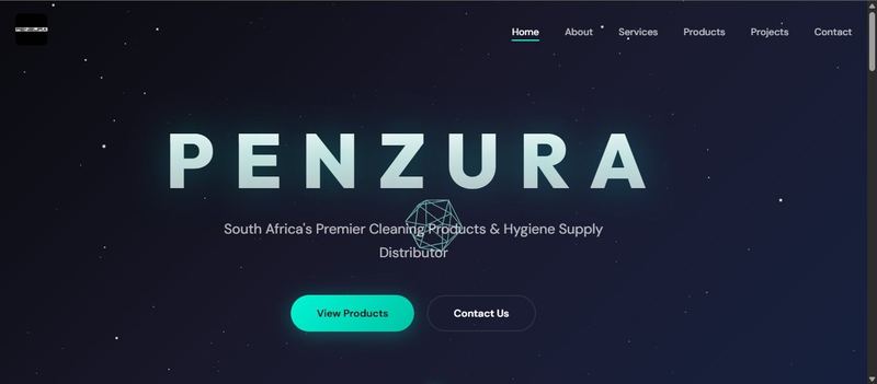 Penzura — Cleaning products and hygiene supply web application, South Africa